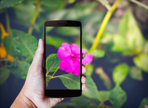 Modern mobile phone in the hand,on blur background image 