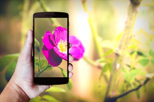 Modern mobile phone in the hand,on blur background image 