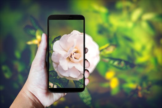 Modern mobile phone in the hand,on blur background image 