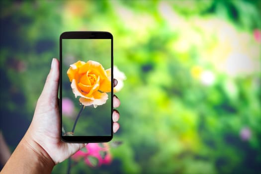 Modern mobile phone in the hand,on blur background image 