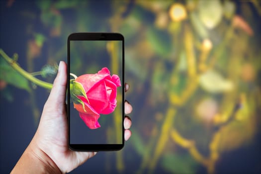 Modern mobile phone in the hand,on blur background image 