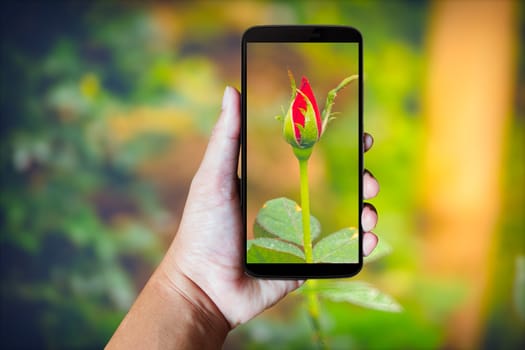 Modern mobile phone in the hand,on blur background image 