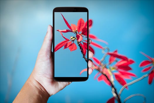 Modern mobile phone in the hand,on blur background image 