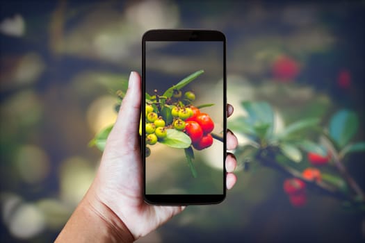 Modern mobile phone in the hand,on blur background image 