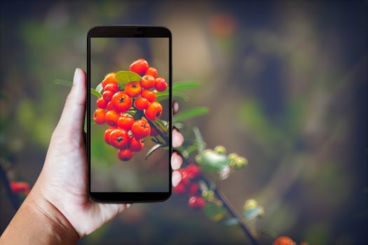 Modern mobile phone in the hand,on blur background image 