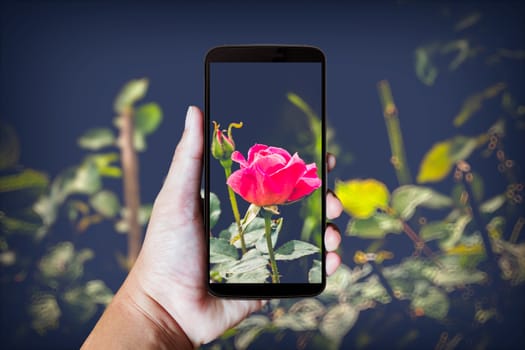 Modern mobile phone in the hand,on blur background image 