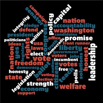 USA themed political word graphic