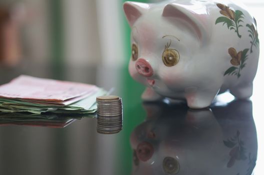 Lovely piggy bank is looking coins and banknote on table.