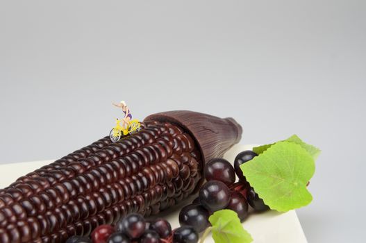 Miniature women exercises by bicycling on black corn in morning.