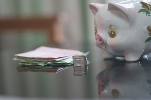 Lovely piggy bank is looking coins and banknote on table.