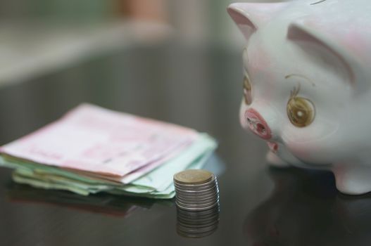 Lovely piggy bank is looking coins and banknote on table.                         