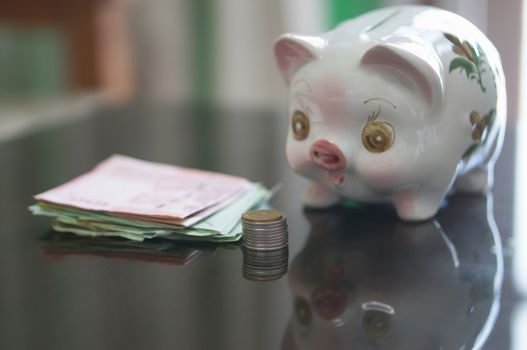 Lovely piggy bank is looking coins and banknote on table.