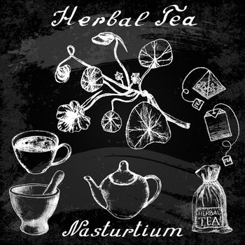 Nasturtium hand drawn sketch botanical illustration. Utensils for tea. Vector illustation. Medical herbs. Effect of chalk board. Grunge background