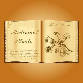 Nasturtium. Botanical illustration. Medical plants. Old open book herbalist. Grunge background. Vector illustration