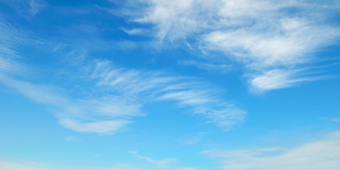 fluffy clouds in the blue sky