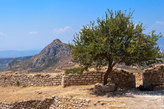 Lonely tree growing among the ruins of an old fortress Acrocorinth ancient against the blue sky and high mountains.