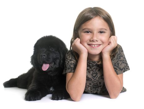 puppy newfoundland dog and child in front of white background