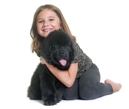 puppy newfoundland dog and child in front of white background