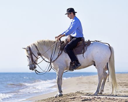 herdsman and Camargue walking in the sea