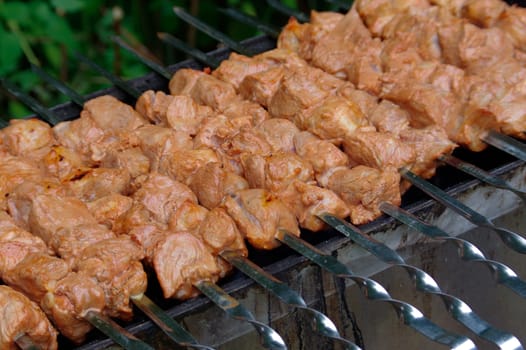 a Shashlik on skewers closeup on grill