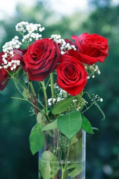 Nice red roses bouquet against green blurred background