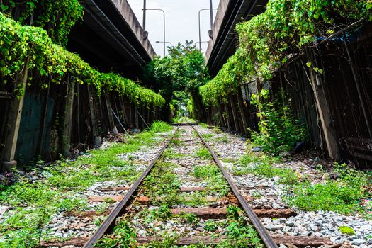 tree tunnel railway in city