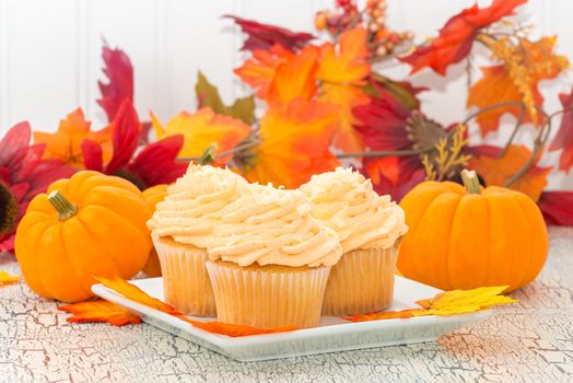 Pumpkin spice cupcakes in front of colorful fall foliage.