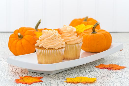 Two pumpkin spice muffins on a plate with several pumpkins.