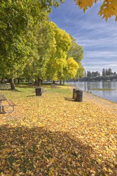 First sign of the Autumn season in Blue lake park Oregon.