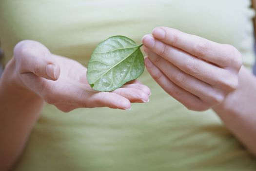 Woman holding small green leaf