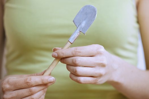 Hands of gardener with miniature shovel