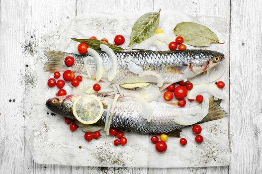 Two carcasses of raw marine fish in seasonings and tomatoes