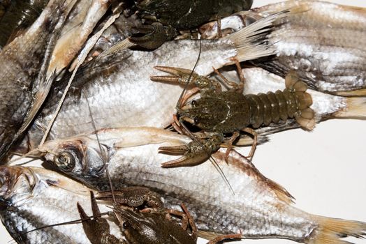 Dry fish and alive crayfish on white background. Dead dry salty fish and alive river crayfish - snack to beer. Closeup.