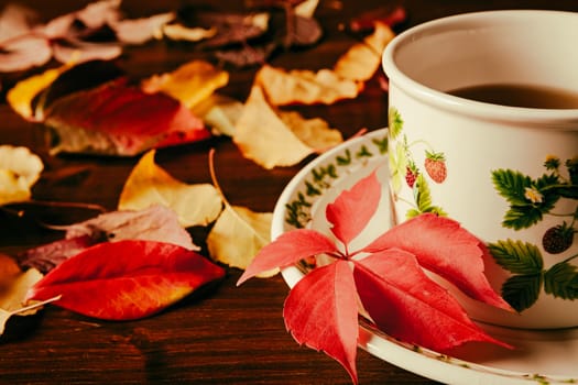 Closeup of a cup of tea and autumnal foliage over a dark table