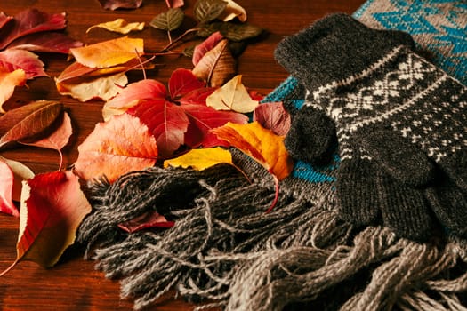 Gloves, scarf and autumnal foliage over a dark table
