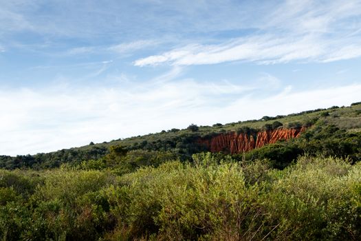 Green grass with soil erosion in Addo