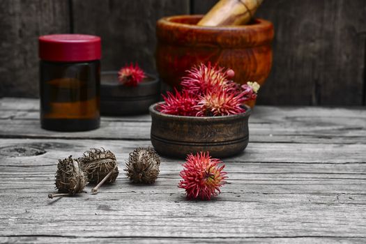 Medicinal inflorescence on the background of the mortar with the pestle