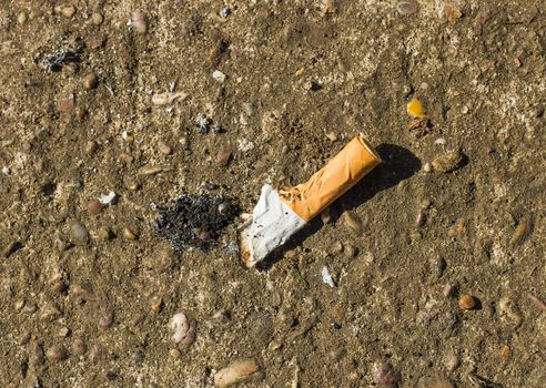 stubbed out cigarette butt on a concrete background