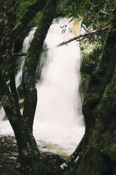 Knyvet Falls in Cradle Mountain, Tasmania after heavy rainfall.