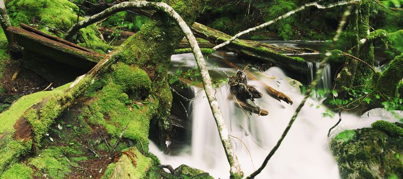 Knyvet Falls in Cradle Mountain, Tasmania after heavy rainfall.