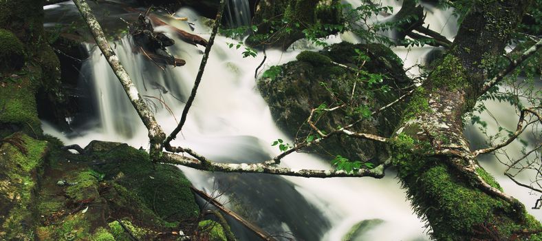 Knyvet Falls in Cradle Mountain, Tasmania after heavy rainfall.