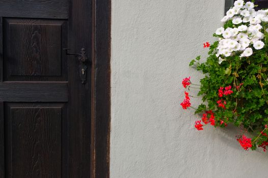 a dark broun wooden front door. White wall and bush with flowers.