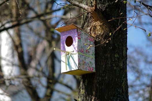 a colourful, pink patterned wooden birdhouses on a tree.