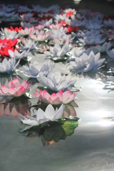 Festival Of Dewali lotus flower offering floats on water