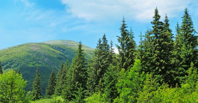 scenic mountain peaks against the blue sky