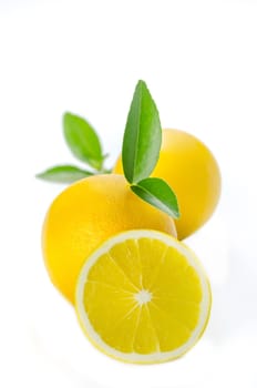 ripe orange with leaves on white background