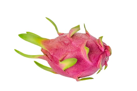 Vivid and Vibrant Dragon Fruit isolated against white background