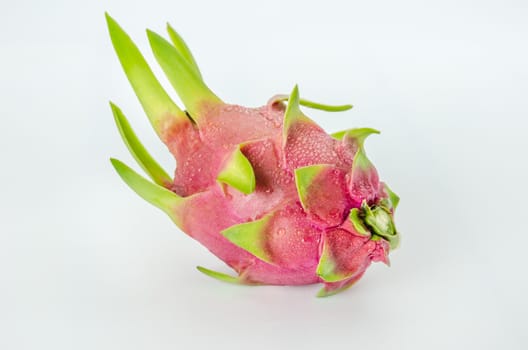 Fresh pink pitaya or dragon fruit  on white background