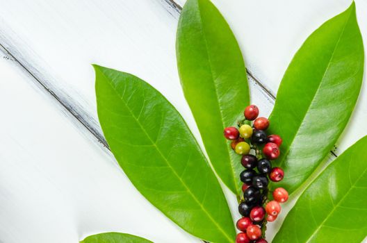 Thai Blueberry in white bowl over wooden background , still life