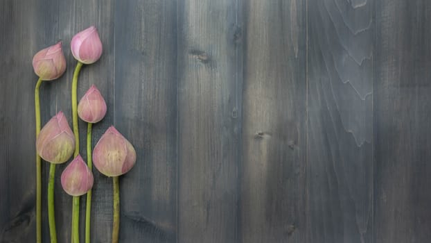 top view of pink water lily over wooden background,  Free space for text
